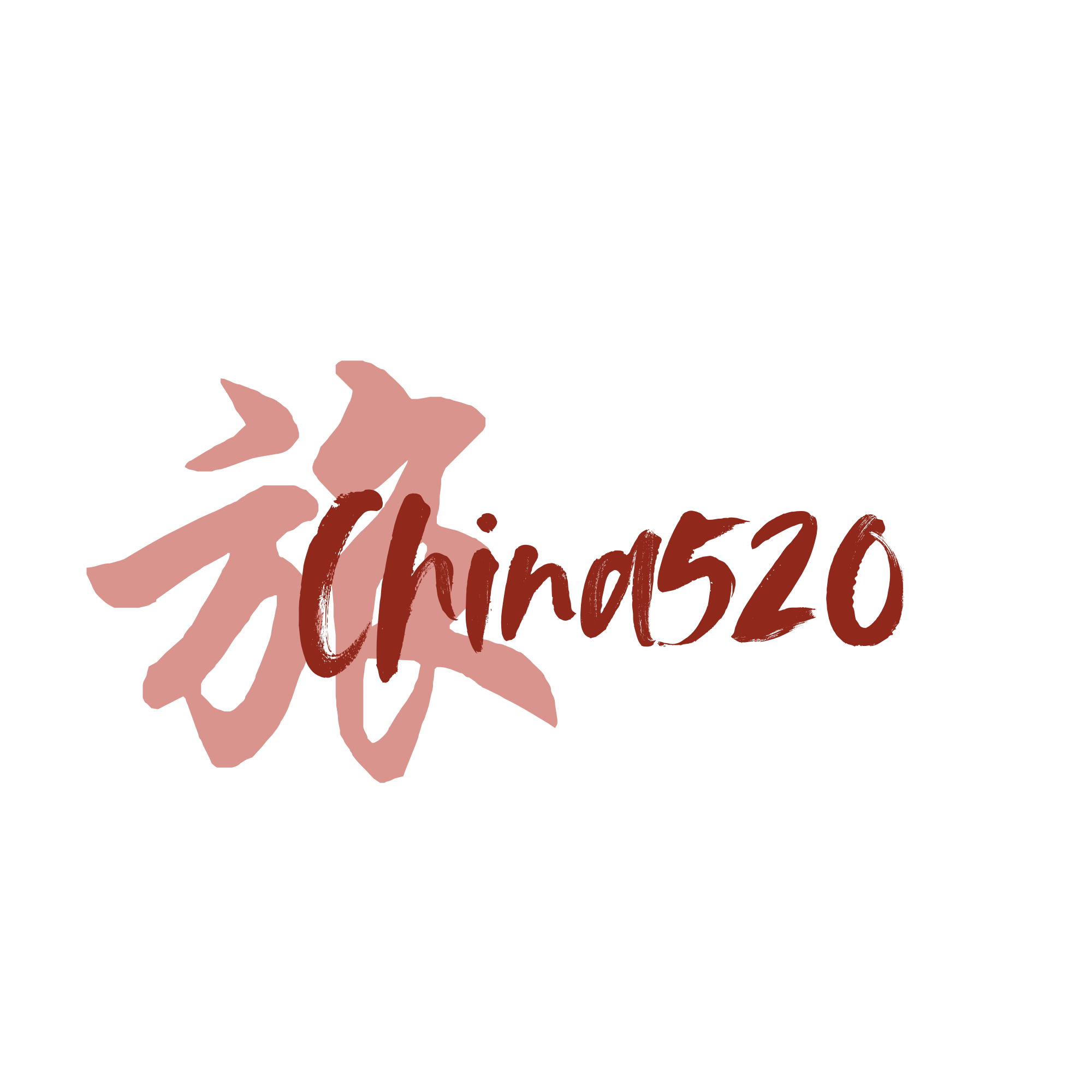 China520 travel